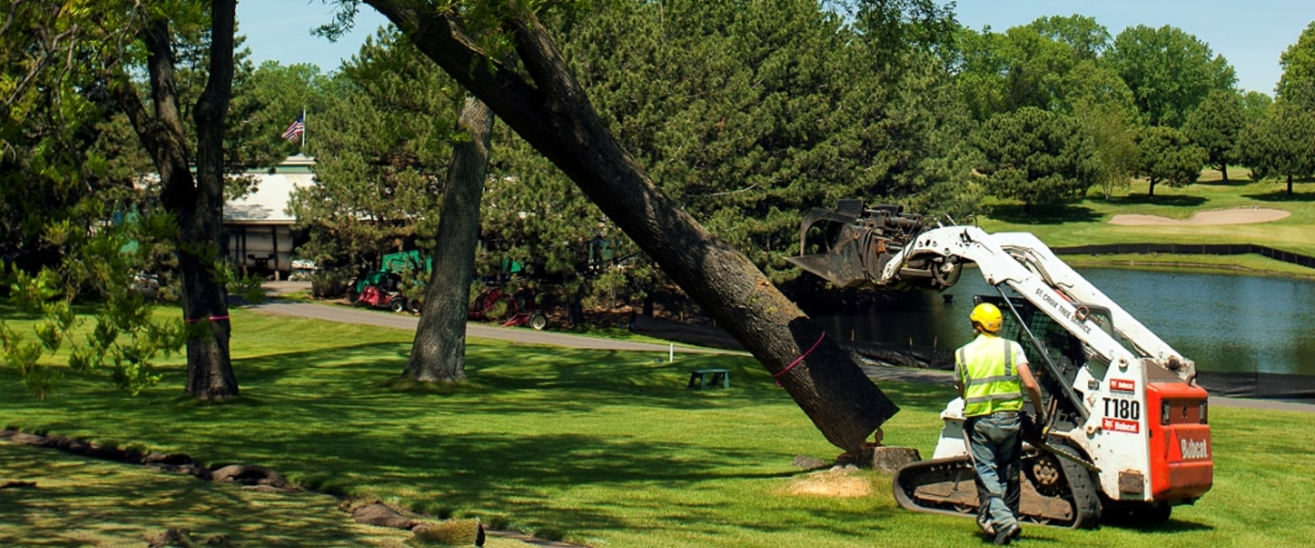 Maximizing Your Landscape's Potential With Trees: The Importance Of Hiring An Arborist For Your Tree Planting Service Needs In Ellisville