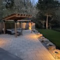 Why Tree Planting For Landscaping Looks Better With Professional Landscape Lighting In Portland