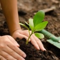 Discovering the True Meaning of Life: Planting Trees for Future Generations