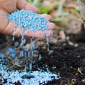 The Best Fertilizer for Tree Planting in Landscaping