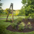 Enhance Your Landscape: Lawn Care And Tree Planting For Landscaping Tips For Northern VA Residents