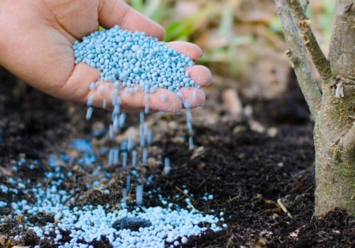 Fertilizing Newly Planted Trees for Landscaping: A Guide for Experts