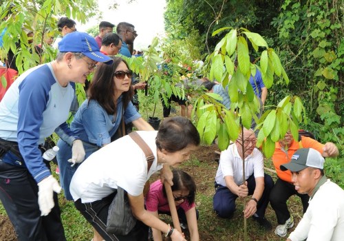 Planting Trees for a Brighter Future