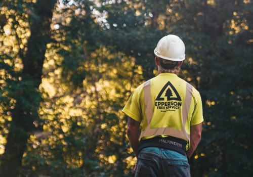 From Maintenance To Beautification: How Tree Services In Bethany, Oklahoma Can Complement Your Tree Planting For Landscaping Projects