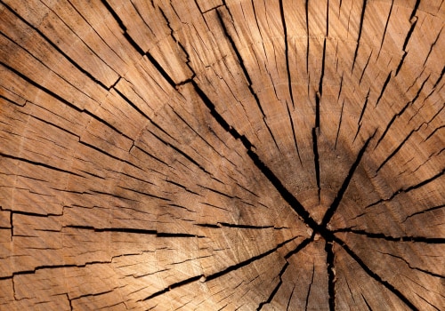 Enhance Your Property with Tree Planting and Emergency Removal