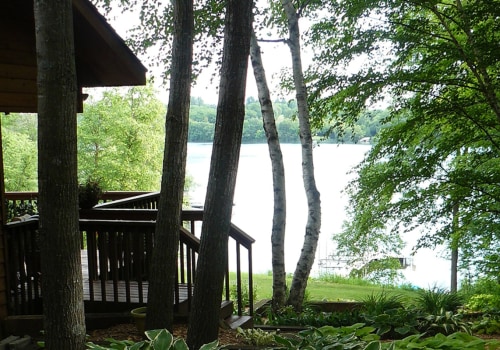 Planting Trees in a Shady Area: What You Need to Know