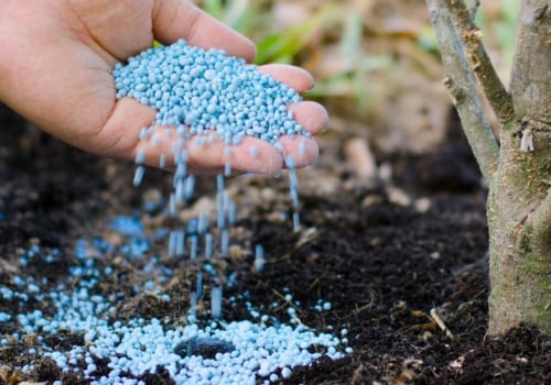 The Best Fertilizer for Tree Planting in Landscaping