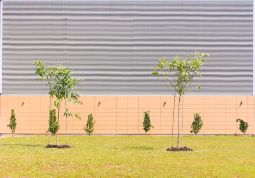 Why Tree Planting Service Is A Must-Have For Your Lubbock Landscaping Project