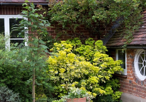 Planting Trees Near Your Home: An Expert's Guide
