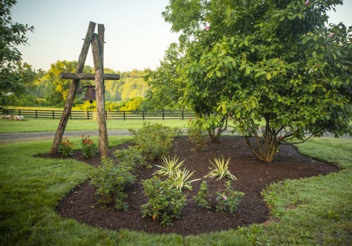 Enhance Your Landscape: Lawn Care And Tree Planting For Landscaping Tips For Northern VA Residents