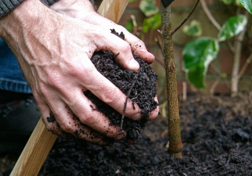 When is the Best Time to Plant Trees and Shrubs? A Guide for Gardeners