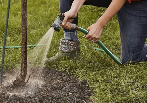 How to Water Newly Planted Trees for Optimal Landscaping Results